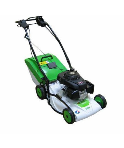 Etesia