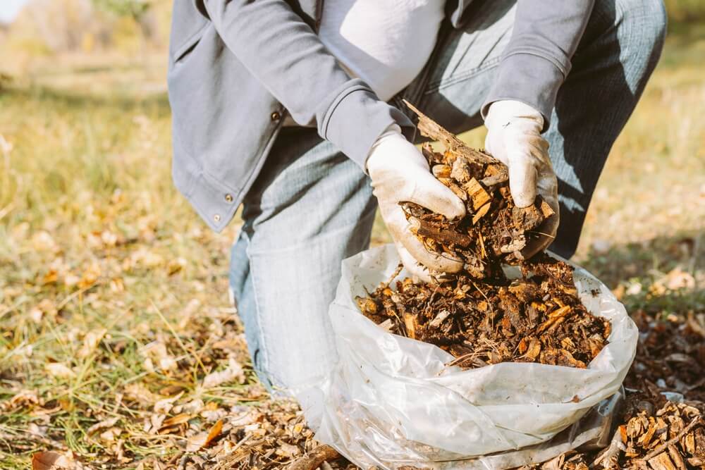 Hakselaar kopen Lambrechts Tuinmachines