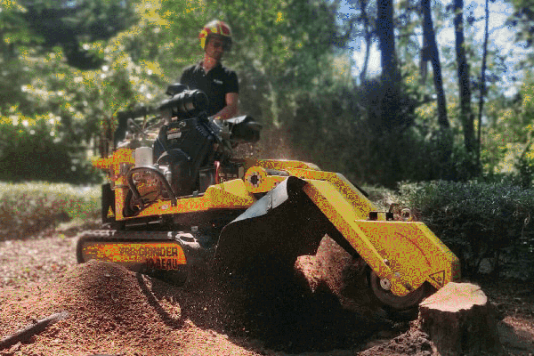 Stump grinders