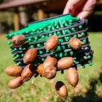 Bag-a-nut