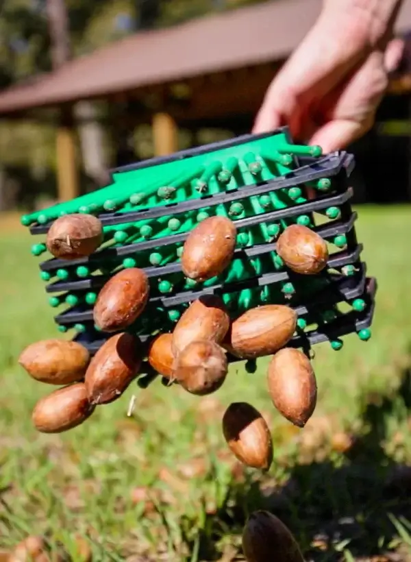 Bag-a-nut